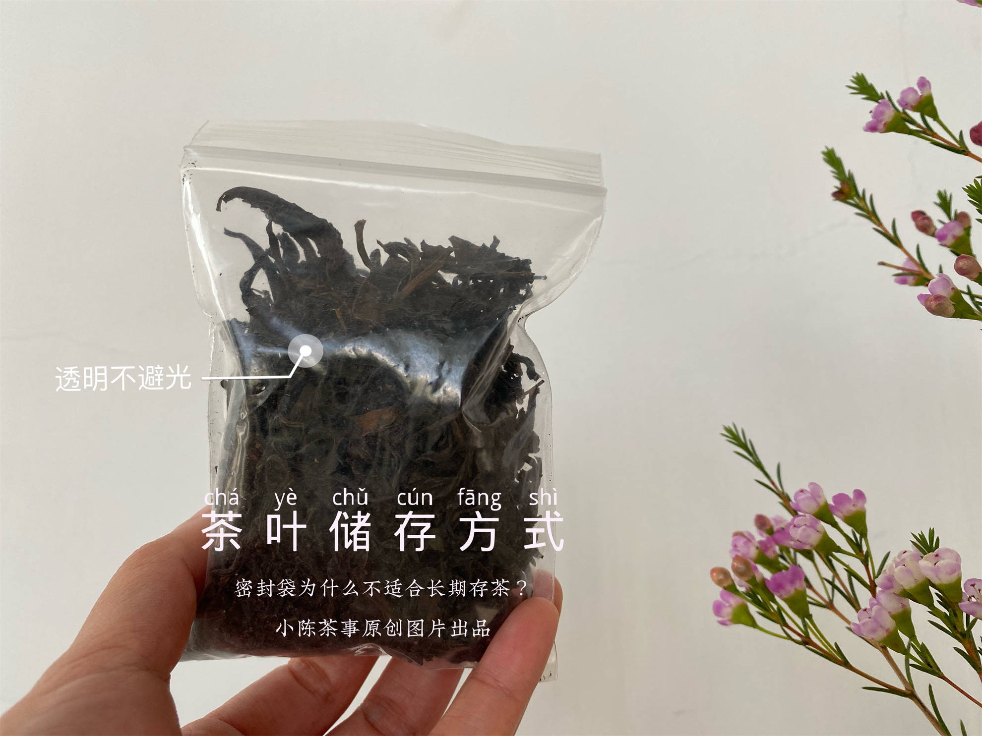 幾千塊的茶葉，別毀在幾毛的密封袋上！茶葉密封袋，你選對了嗎？