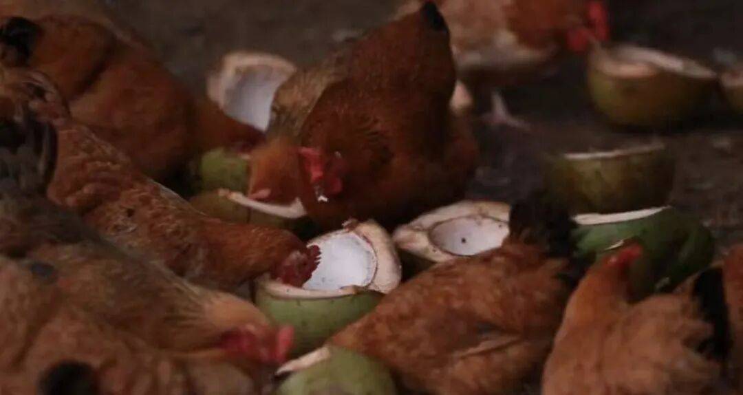 “沒人不愛吃的頂流美食”，正被拼多多送上全國餐桌