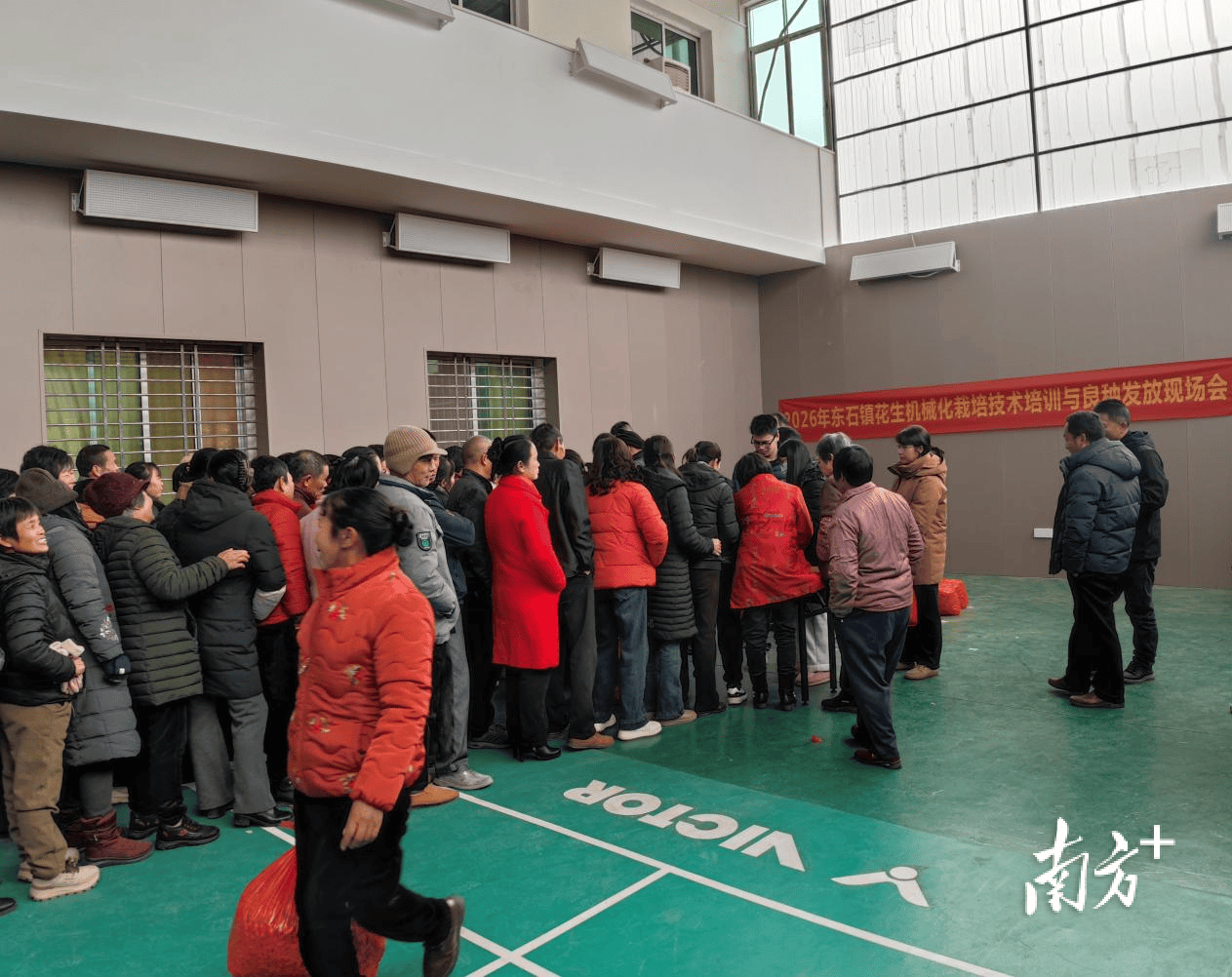 科技+良種雙賦能！平遠縣東石鎮科技特派員助花生提質增效