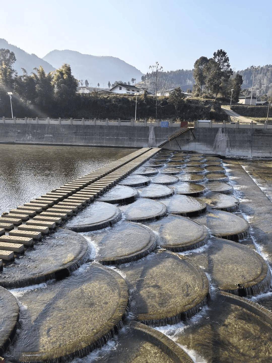 “會玩是件天大的事”！一農村小學走紅，有人舉家搬遷，“學區房”一房難求