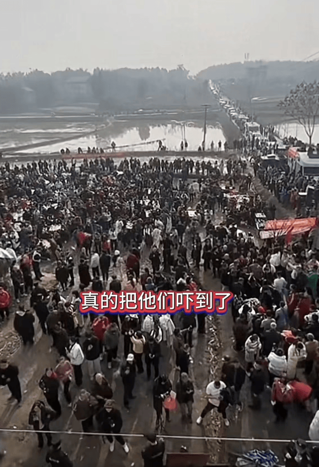 原創呆呆闢謠沒入編，年齡35還未婚，殺豬宴後搬家，拒打賞被稱虧大了