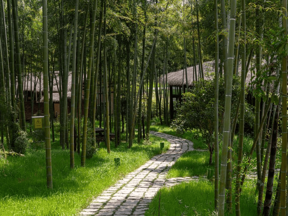 寒假湄旅遊：奔赴一場21℃的自然文化深度邂逅