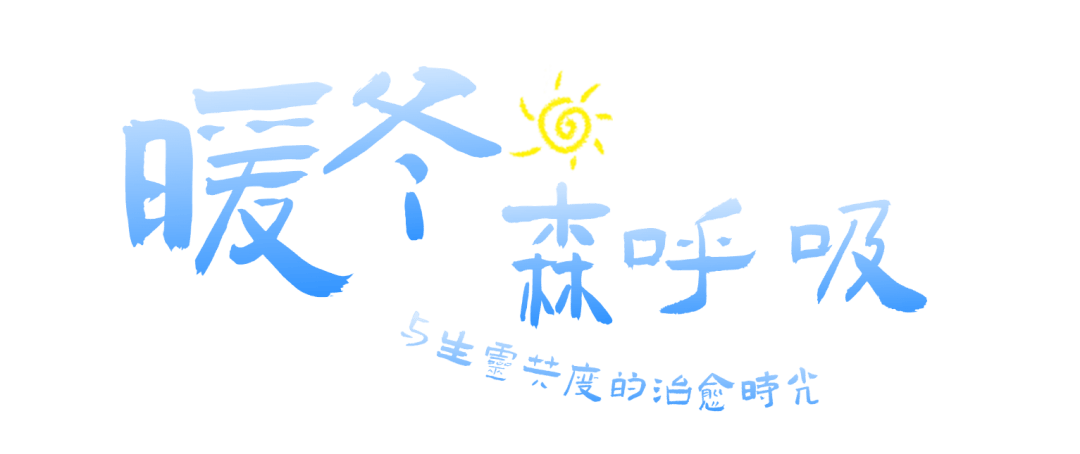 寒假湄旅遊：奔赴一場21℃的自然文化深度邂逅