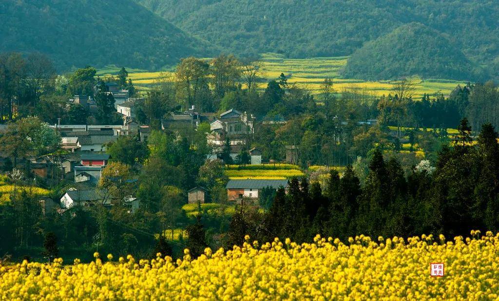 【國際旅遊攝影網】推薦住宿羅平螺絲田旭升客棧