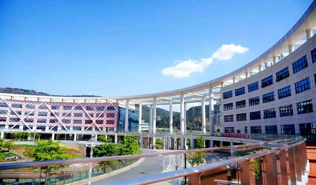 四川省政協委員馬輝談民族醫學教育新路徑：從一線需求到教育供給，精準對接民族地區醫療