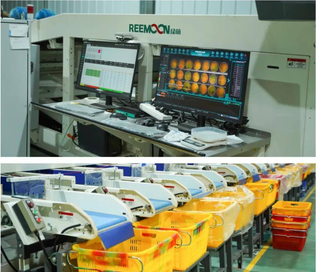 快放假了，美食公司都買些什麼好吃年貨回家？