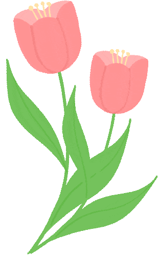 小學生英語口語 200 句｜天天練 5 分鐘，開口超自信