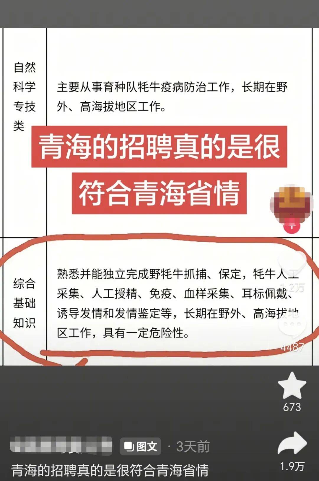 一事業編招聘要求“獨立抓捕野犛牛”？當地：2020年招聘資訊，近年已不再招聘，野犛牛是種牛場用來科研的