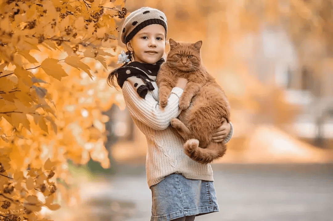 假期刷10部影片，輕鬆記牢 1000 個單詞｜建議收藏