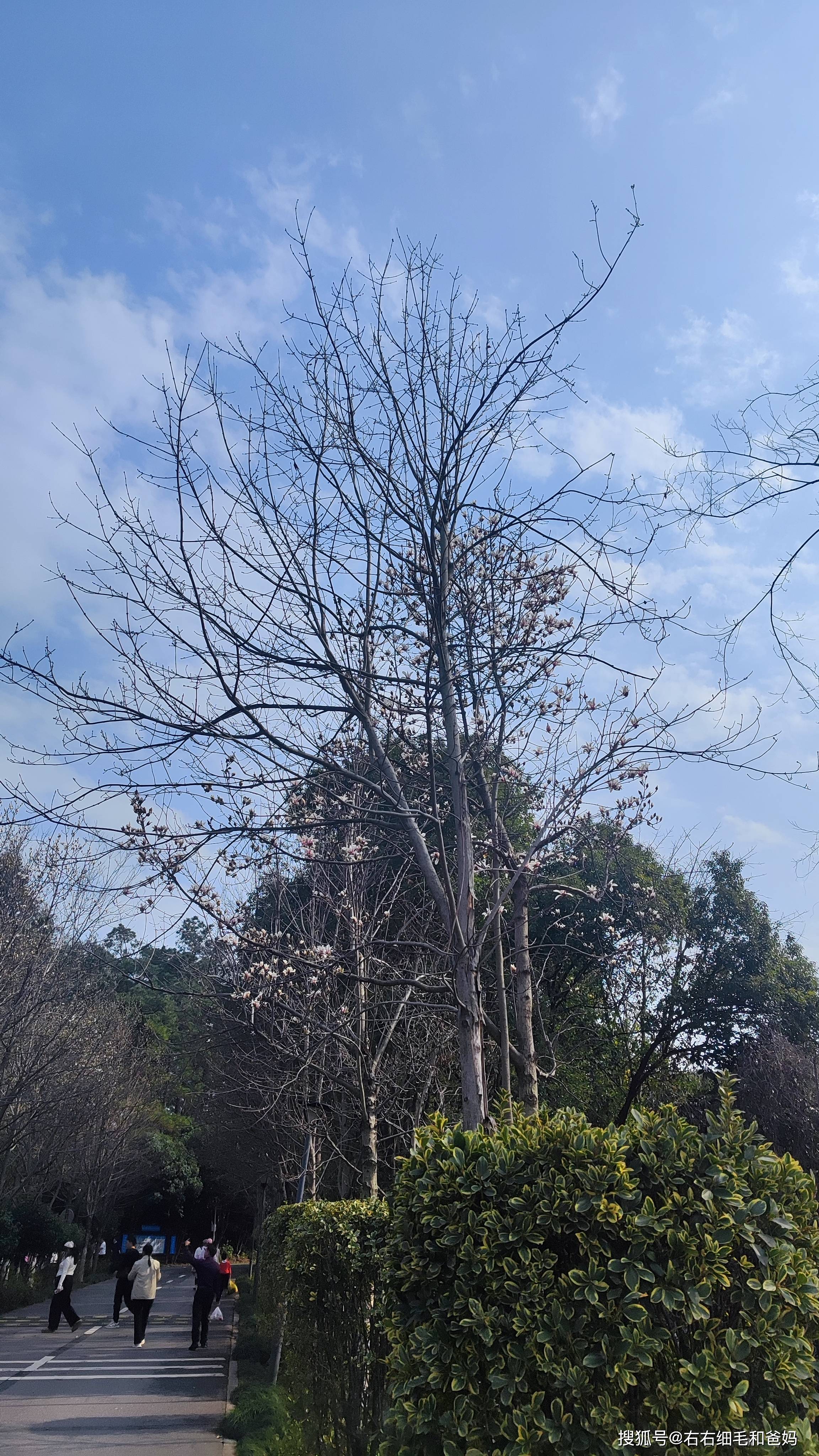 原創跑錯方向的“搶跑”教育：公園裡、公車上，被“逼”學習的5歲娃