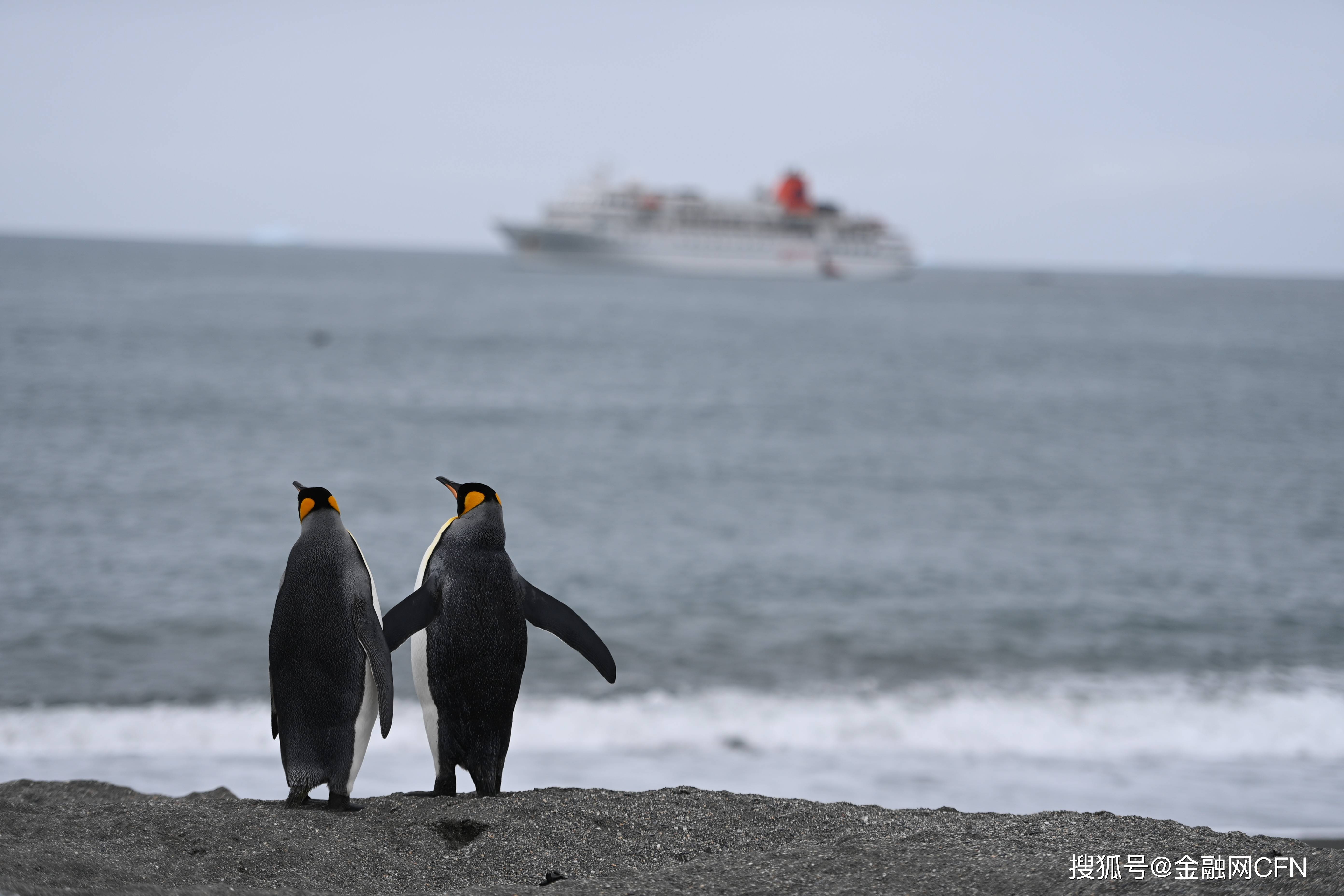 從南極到北京，北京小學生何曼琳繪畫作品《南極家園》驚豔金融街