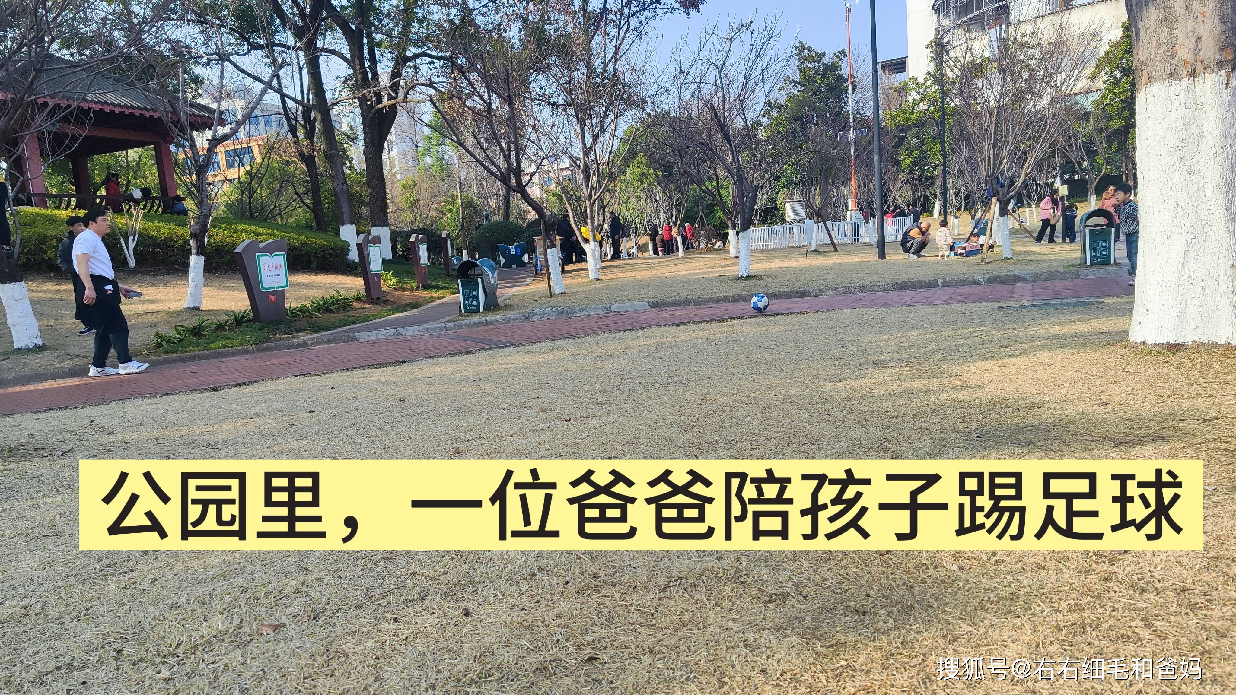 原創跑錯方向的“搶跑”教育：公園裡、公車上，被“逼”學習的5歲娃