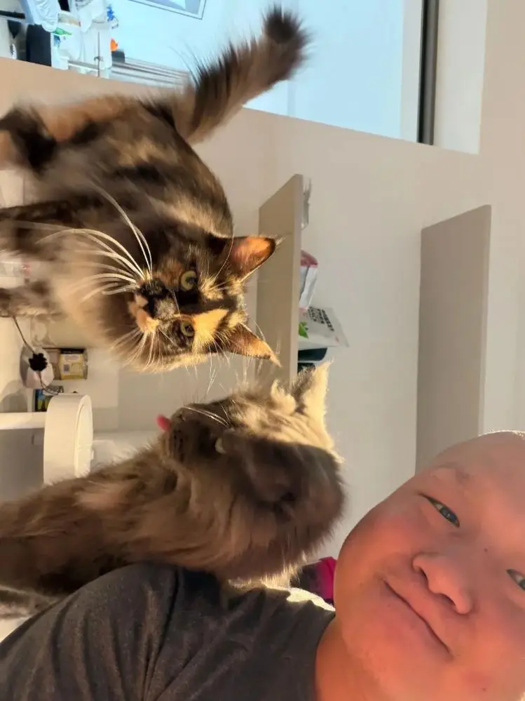 春節寵物託管經濟升溫：店主接到2000單 大學生寒假賺上萬元