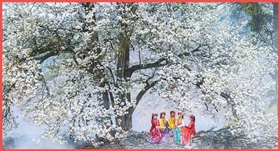 雪山下的“非遺”藏寨（文化中國行·視線·最佳旅遊鄉村）