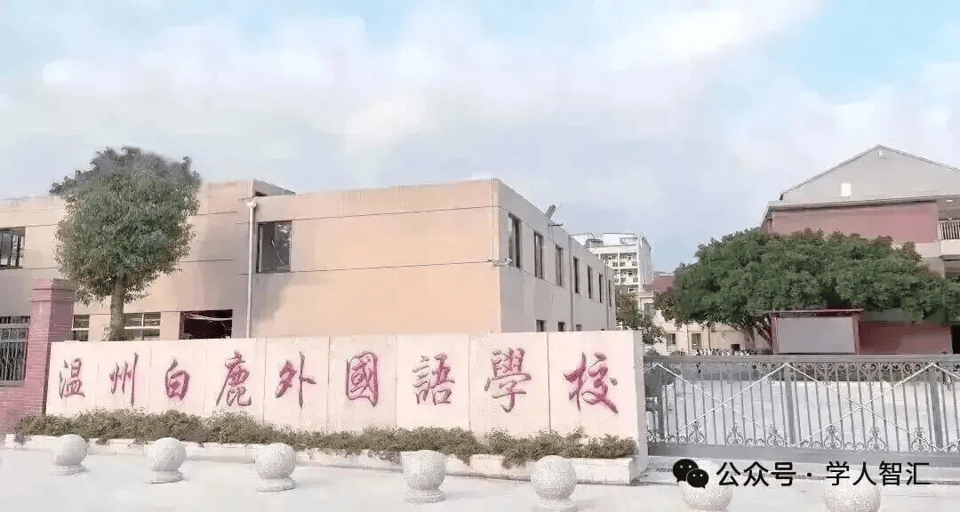 我的教育故事：小胖娃變形記