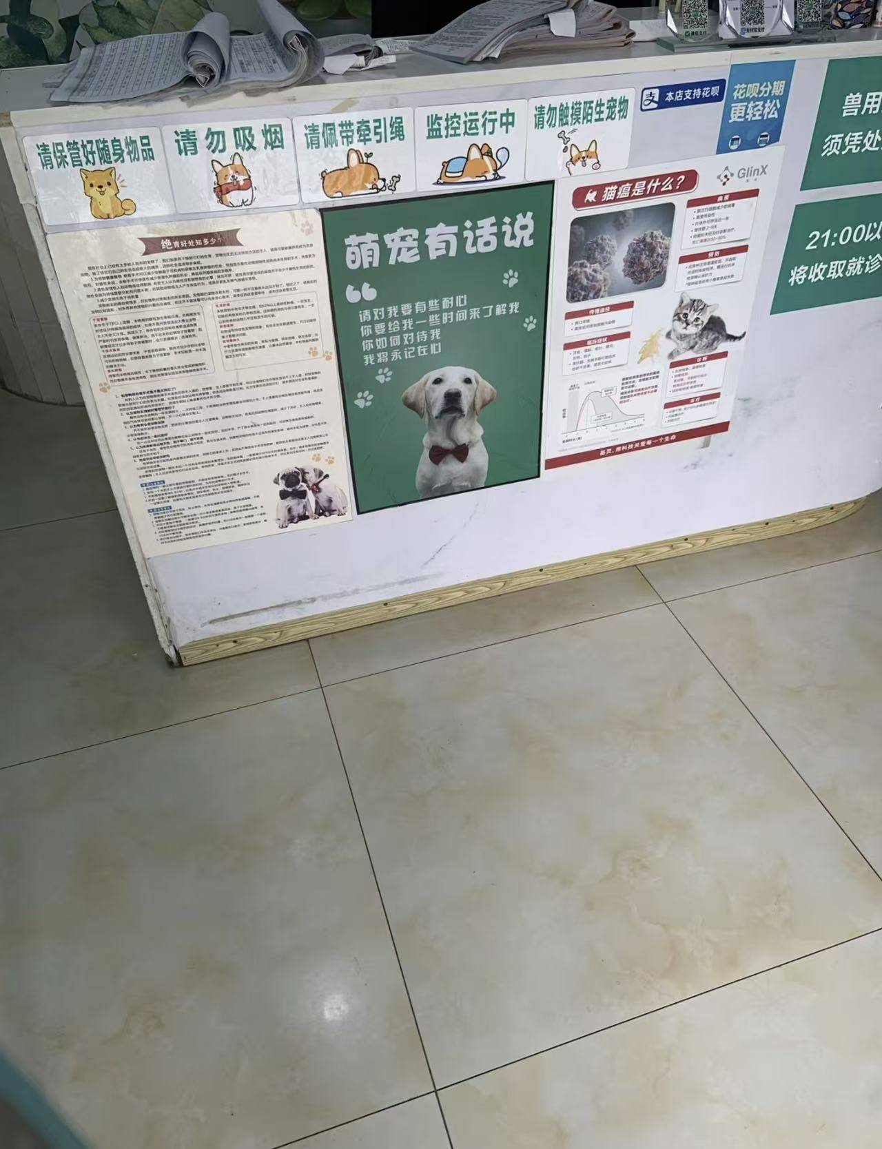 溫江區寵物美容服務質量對比