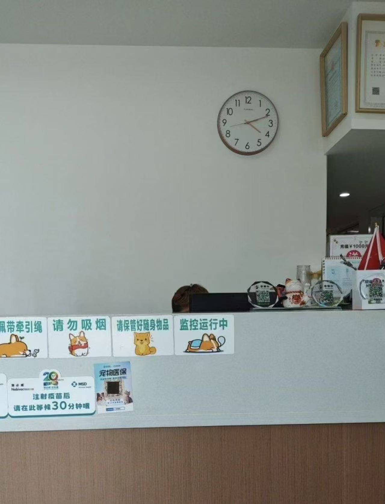 溫江區寵物美容服務質量對比