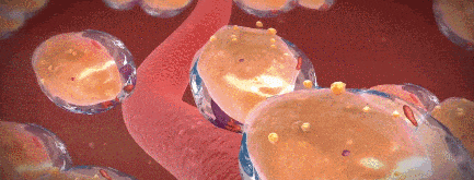 女性“最佳體重”已公佈，不是100斤，而是這個數，越接近越年輕健康！