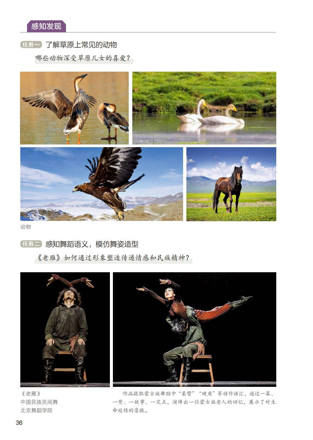 2026人美版八年級舞蹈(下冊)電子課本(PDF版新教材)