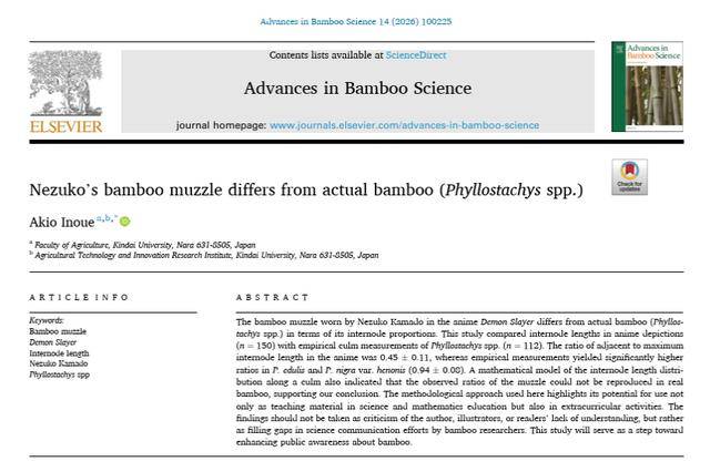 原創《鬼滅之刃》隱藏BUG？日本大學論文證實彌豆子竹子“不科學”