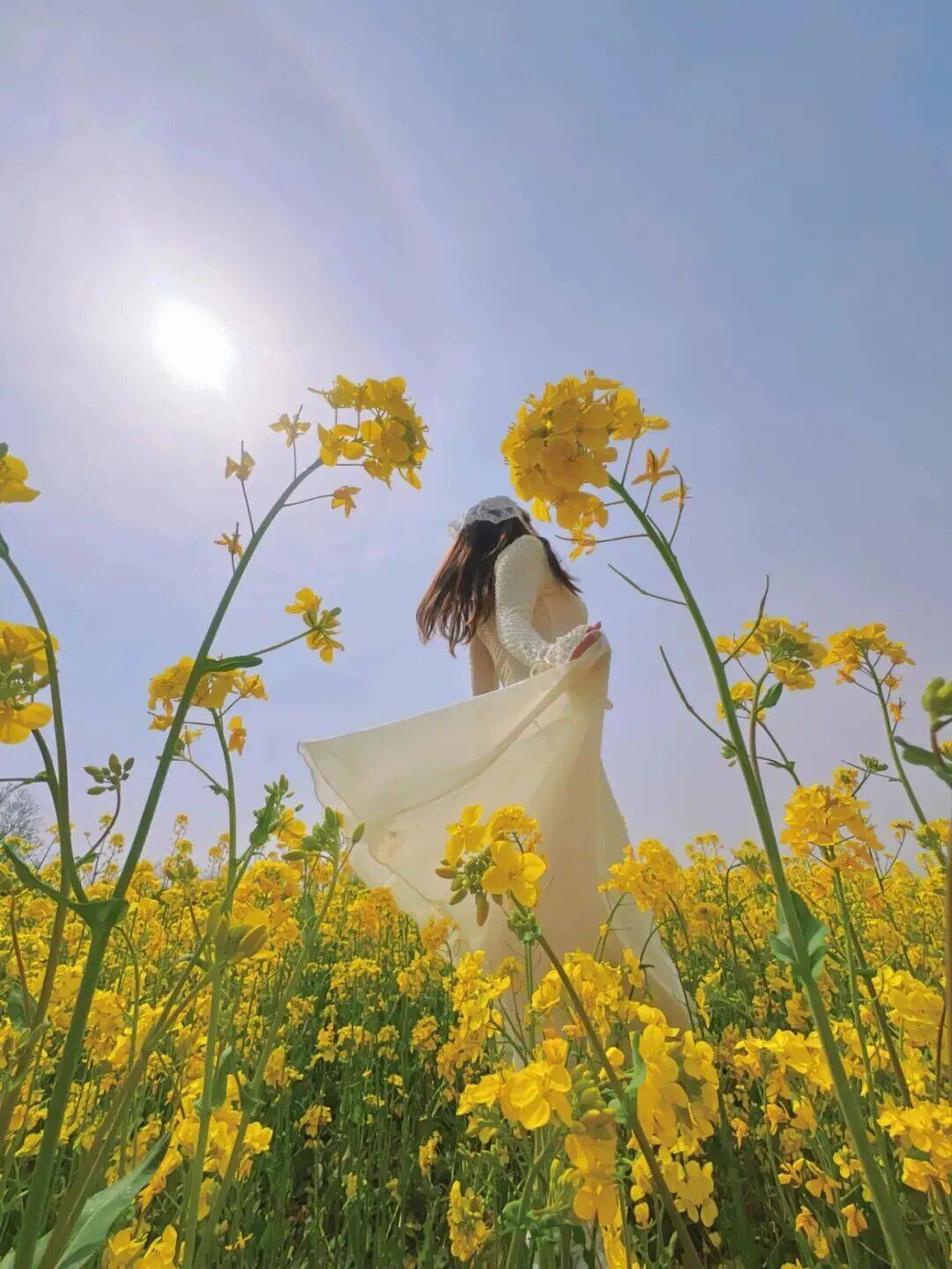 美景+美食！運城踏春賞花路線上新！5條供選！