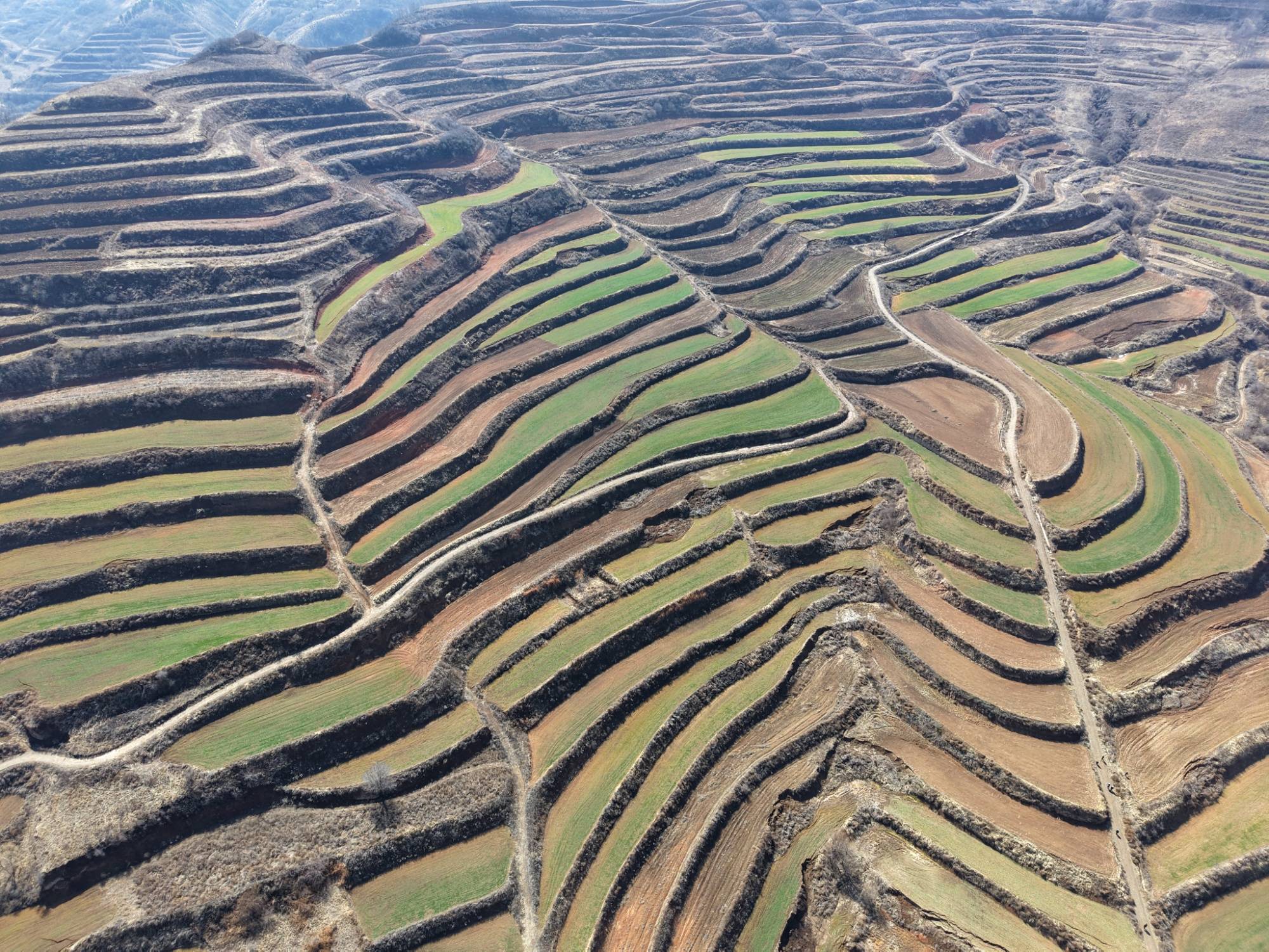 科技送到田埂上 甘肅張家川小麥春管忙