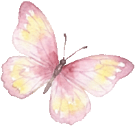 收藏！泉州春日賞花去哪裡？花期+地址全攻略