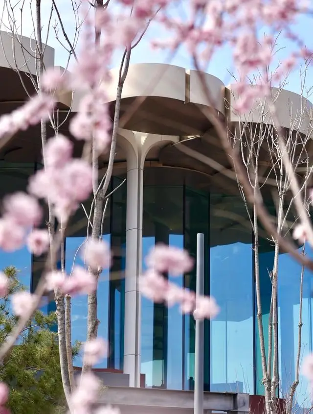 鄉韻通州｜“御河夜遊·漕運尋蹤”鄉村旅遊精品線路