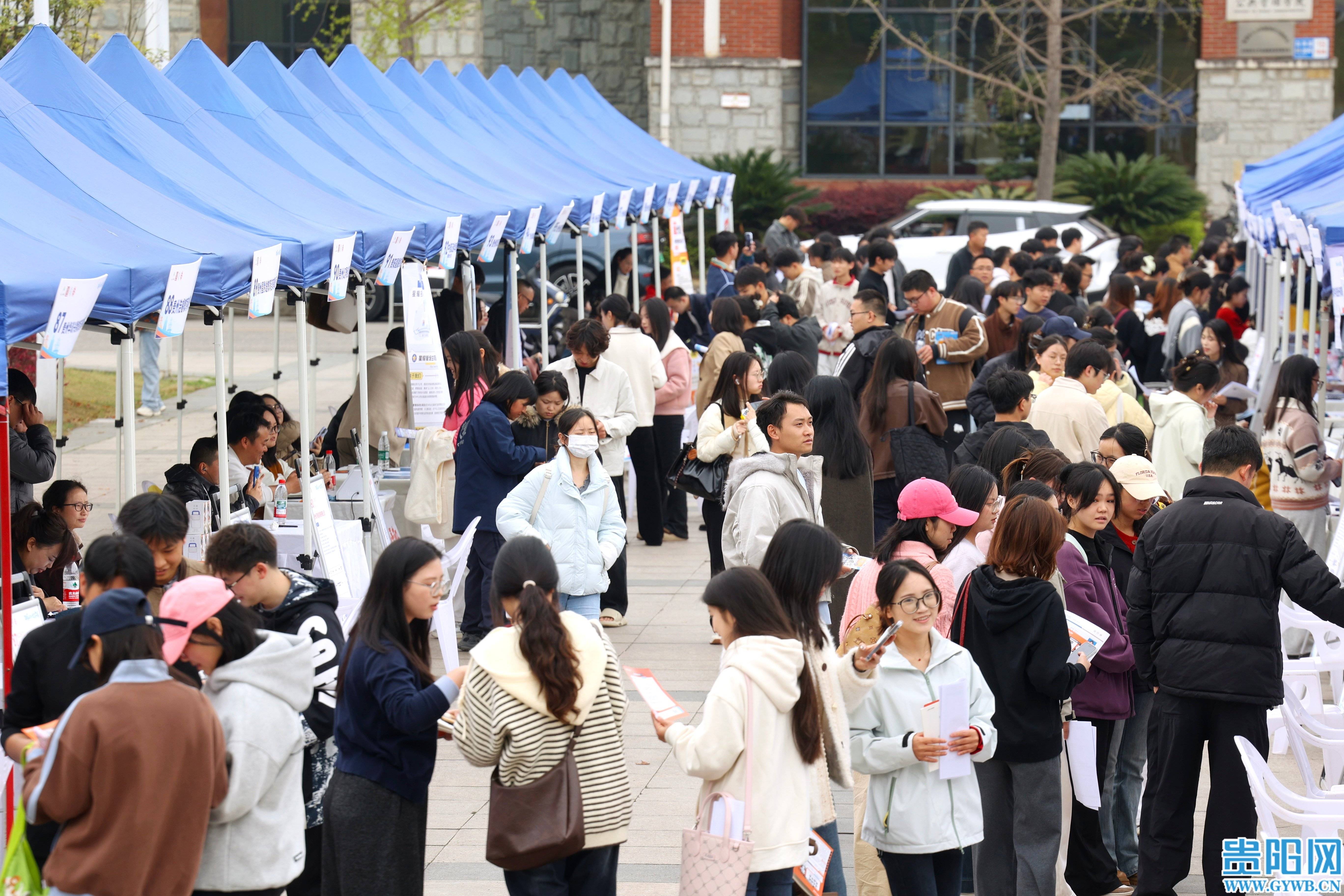 2301個崗位！貴安大學城春招首場落幕