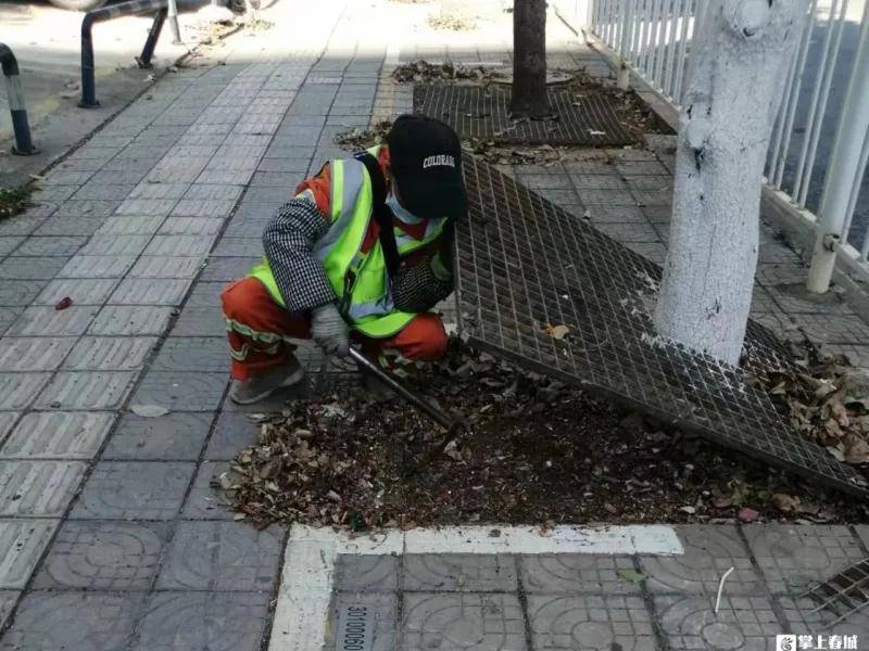 滇風對決 | 爭做春城美容師！榜樣力量在環衛群體激盪起奮進共鳴