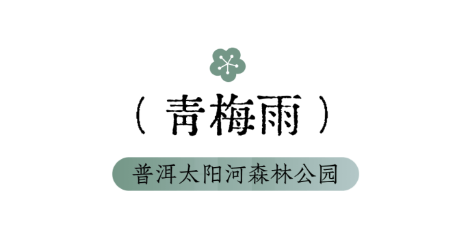 當用中國傳統色開啟“湄公河旅遊”，原來風景可以這麼詩意~