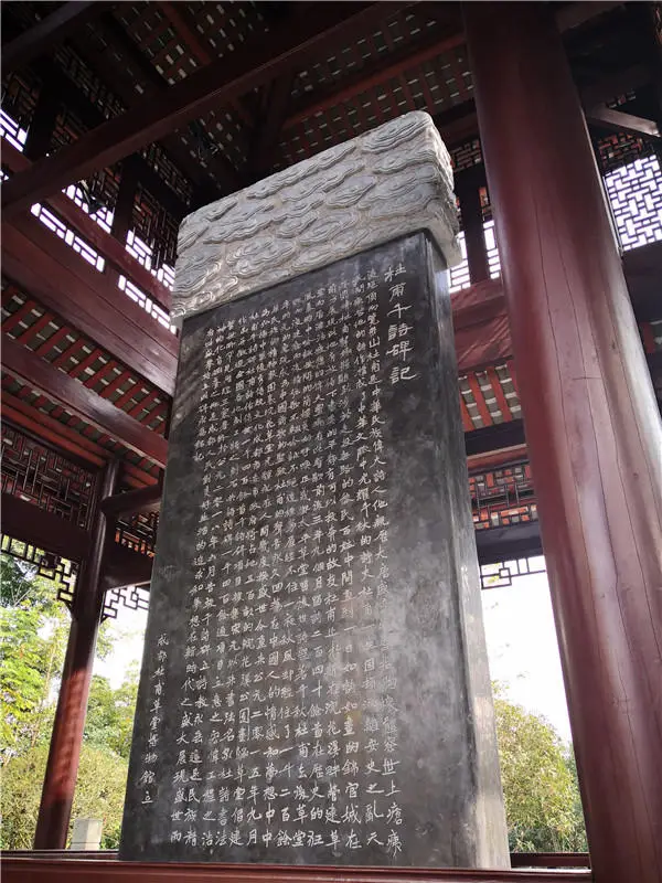 觀文|書法之美在人間煙火處