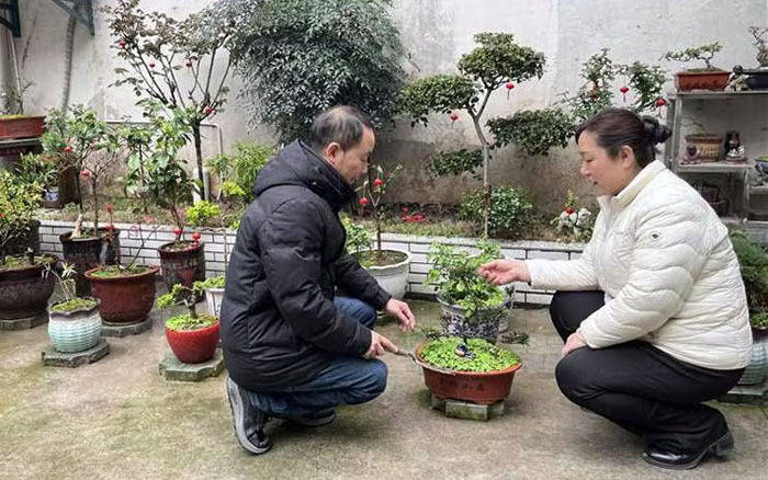 根落大柴湖 移民不移情