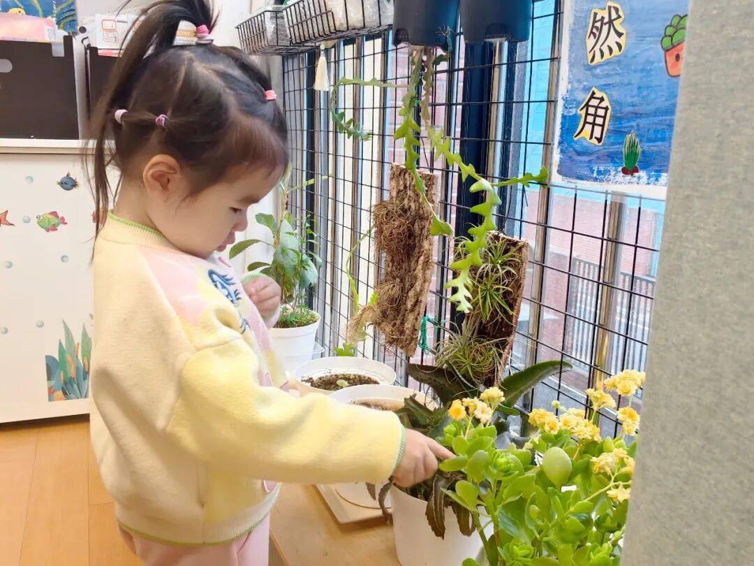 全球最幸福國家芬蘭，為什麼教育也是第一？女兒在海淀“芬蘭幼兒園”揭秘…