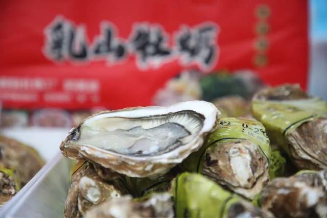 “蠣”經山海，鮮啟盛宴！乳山美食季正式啟幕