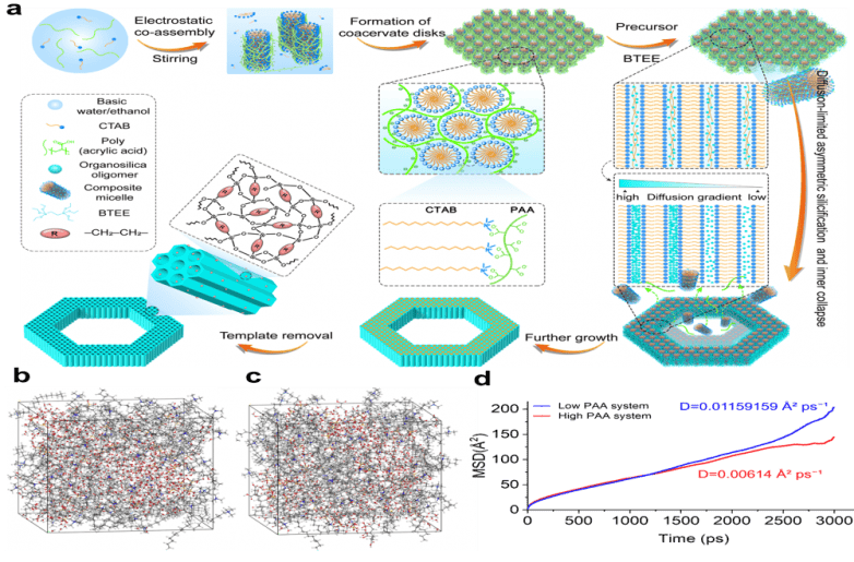 復旦大學JACS孔彪團隊研發智慧奈米環，助力實體瘤深部治療