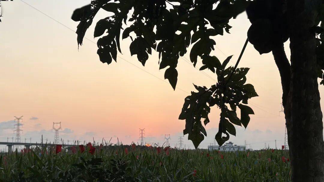 全中國最接地氣的大學生，被小看了