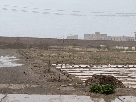 全中國最接地氣的大學生，被小看了