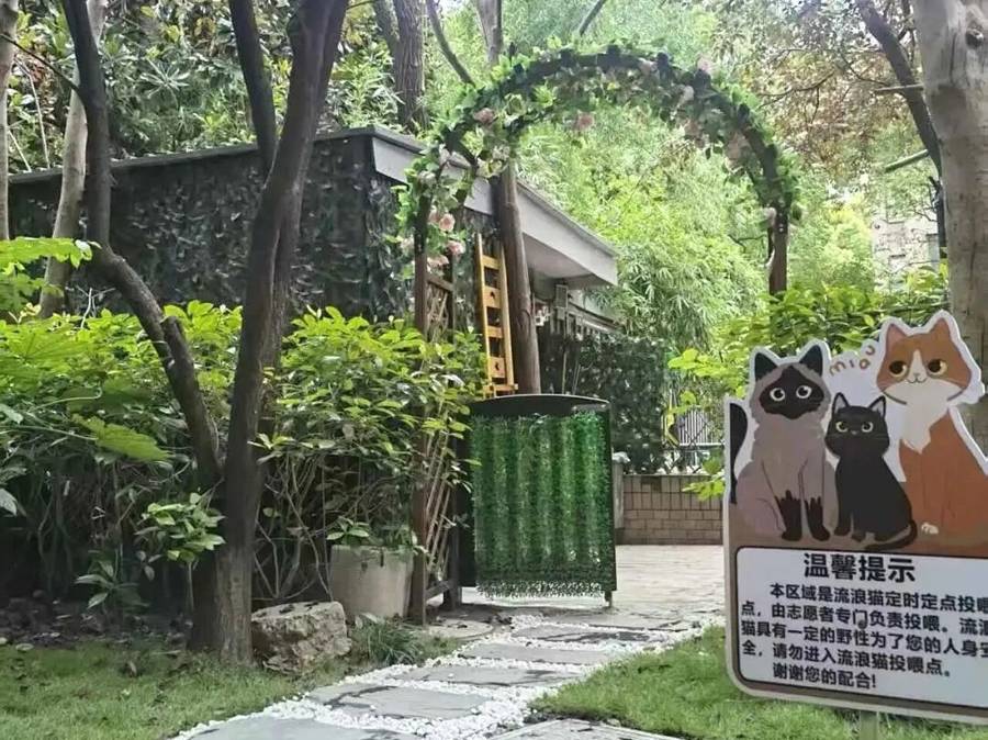 這個公租房小區曾經問題重重，如今精準破局實現了“四海一家親”