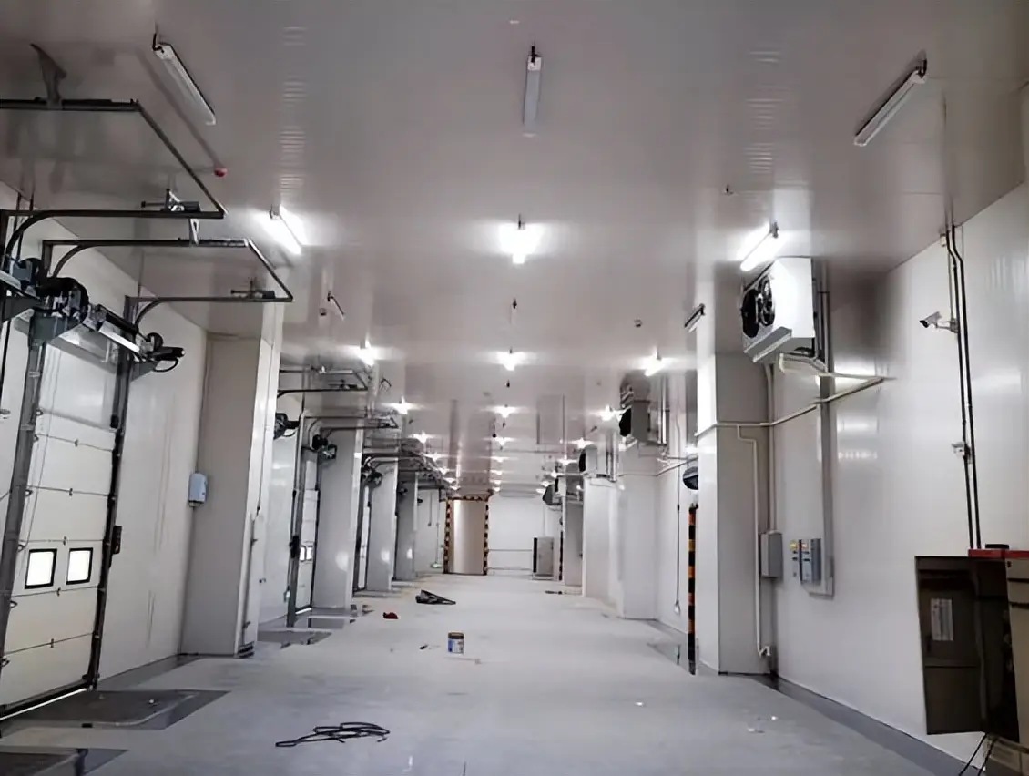 附近耐用冷庫倉儲自動化供應廠家推薦及選擇指南