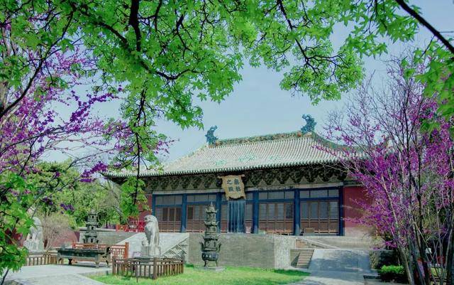 一磚一瓦遇春光，收藏這一幀幀“山河春韻圖”