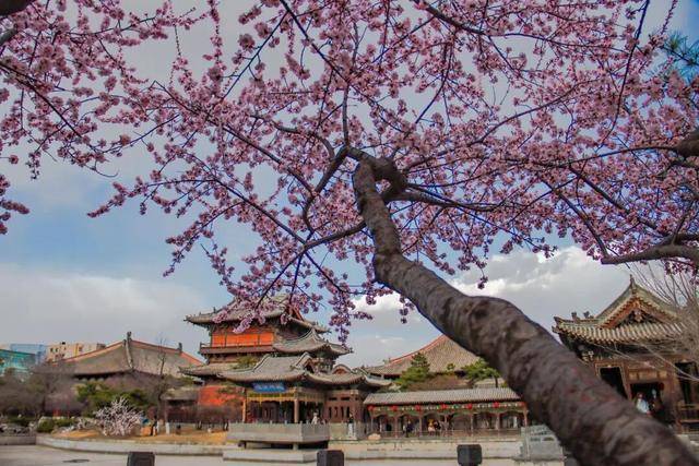 一磚一瓦遇春光，收藏這一幀幀“山河春韻圖”