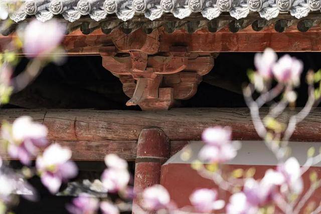 一磚一瓦遇春光，收藏這一幀幀“山河春韻圖”