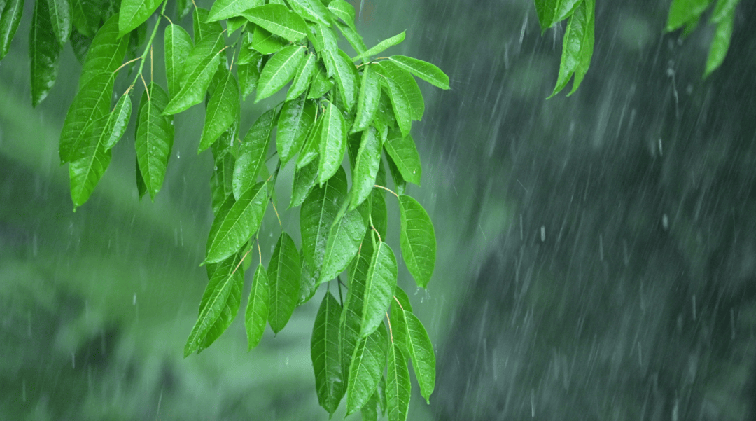 廣州人，今天起關緊門窗！