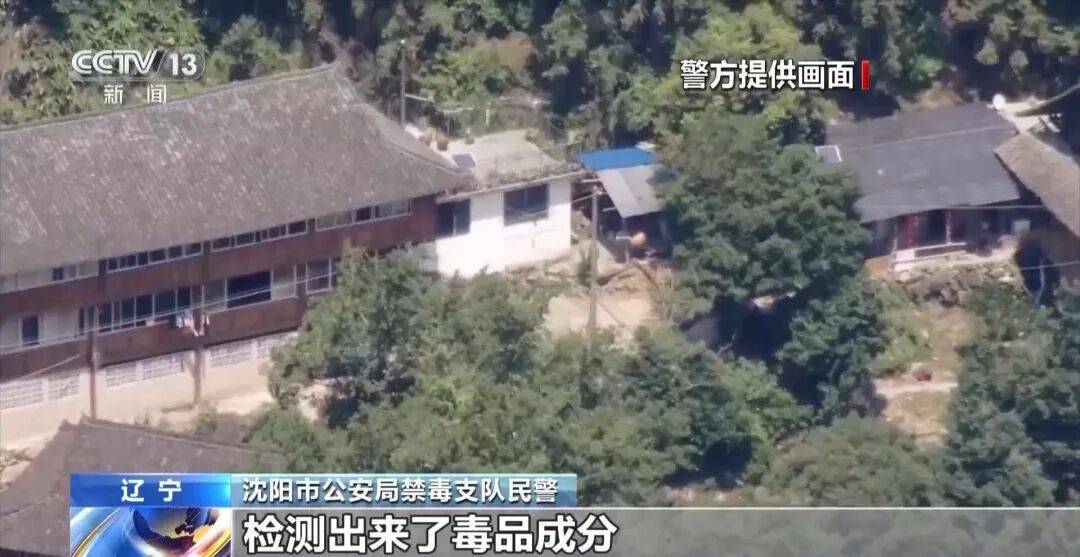 吸食後嘔吐、暈厥、說話磕巴：這種“上勁電子煙”的傷害，不可逆