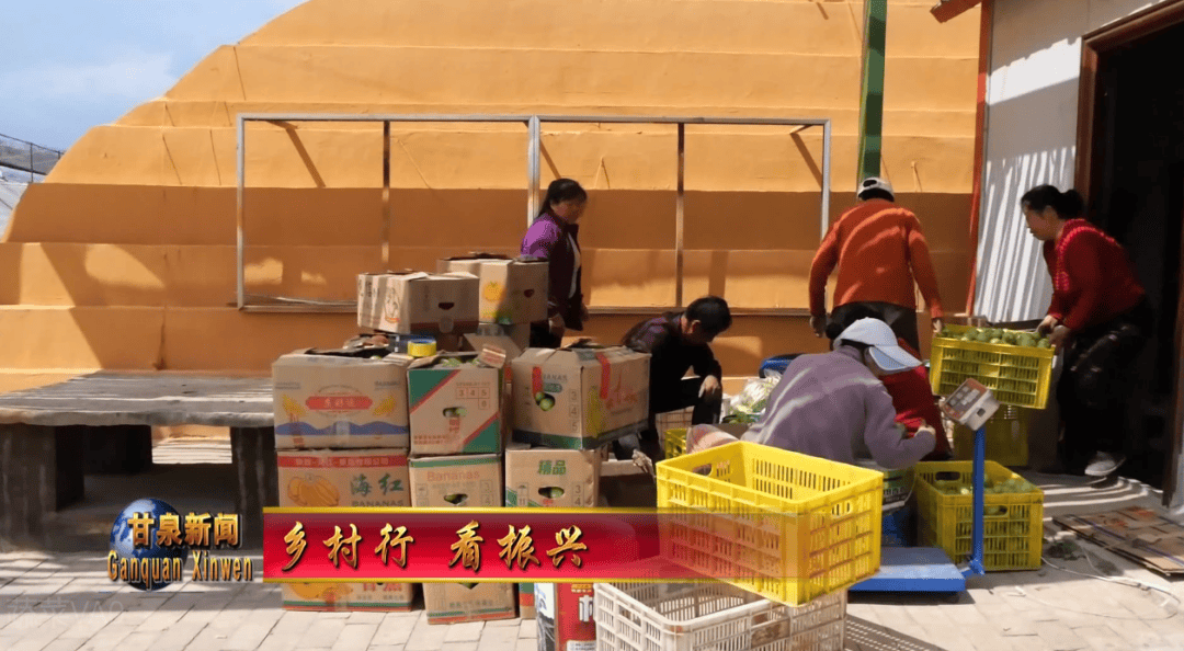 科技賦能蔬菜產業 良種良法助力鄉村振興