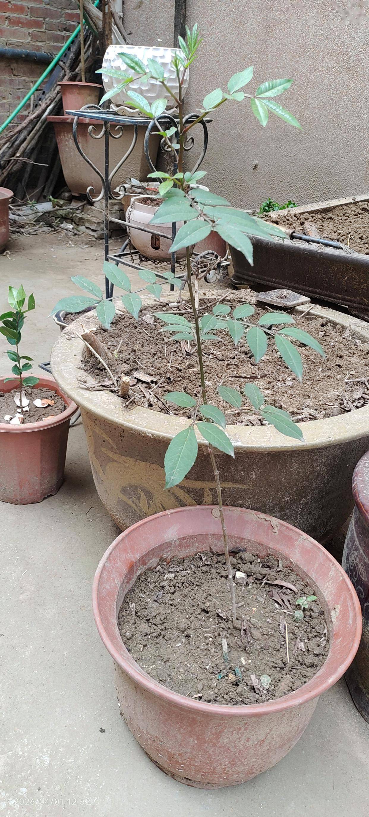 開啟租房新生活