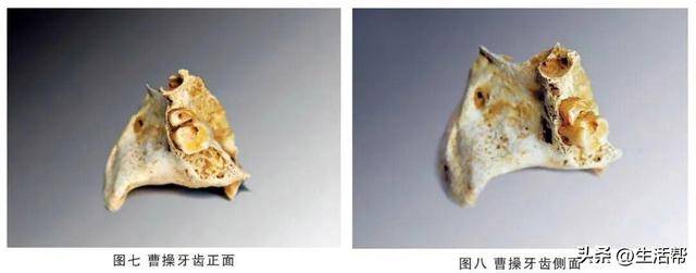 曹操墓前擺佈洛芬，暴露危險“誤區”！醫生提醒→