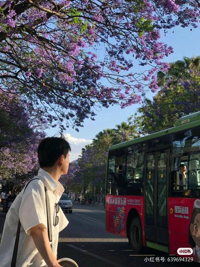 比大理浪漫！比昆明更近！高鐵直達陽光小城，2萬株藍花楹美瘋！觀海登山，美食吃到爽！