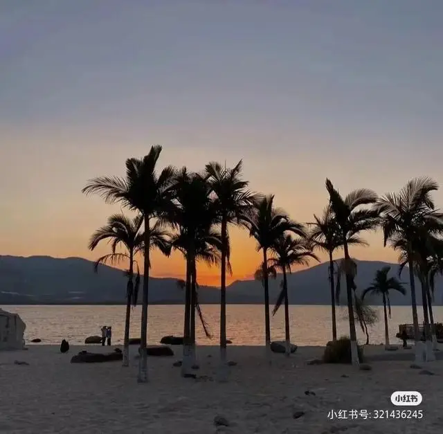 比大理浪漫！比昆明更近！高鐵直達陽光小城，2萬株藍花楹美瘋！觀海登山，美食吃到爽！